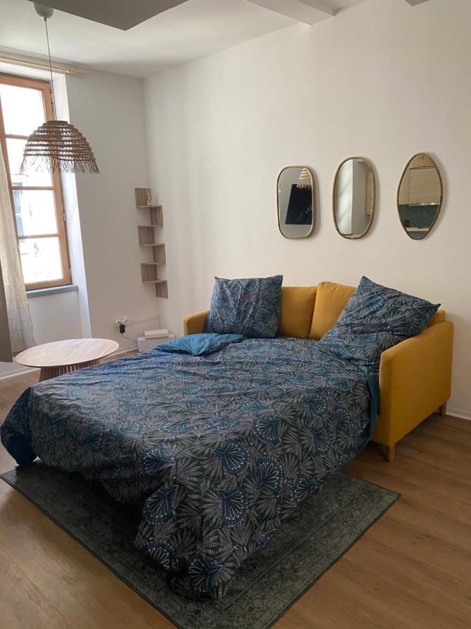 Le Bout Du Monde Appartement Hyper-Centre カルカソンヌ エクステリア 写真